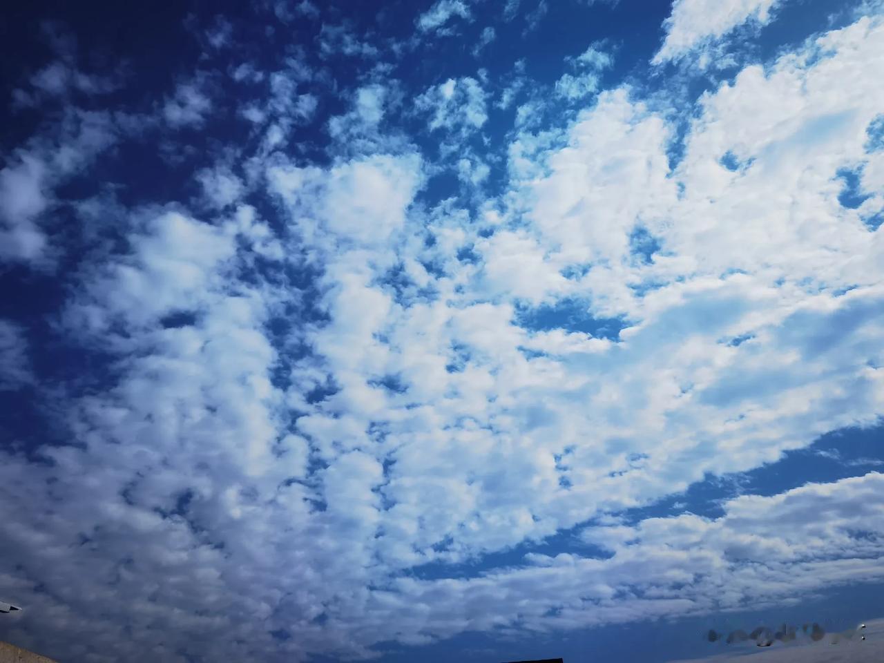 晒图笔记大赛蓝蓝的天上白云飘，今天暖和了，舒服😌