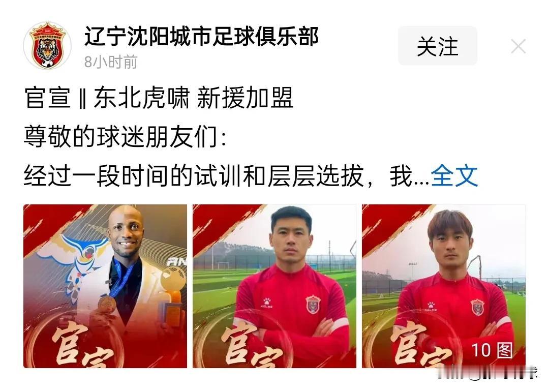 辽宁足球队，真服你们，起名叫东北虎，你们管理人员脑子有问题吗？吉林男篮叫东北虎都