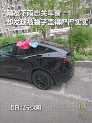 “没想到上人民日报了！”辽宁沈阳，一小伙雨天忘记关上车窗，本以为车内会被雨水打湿