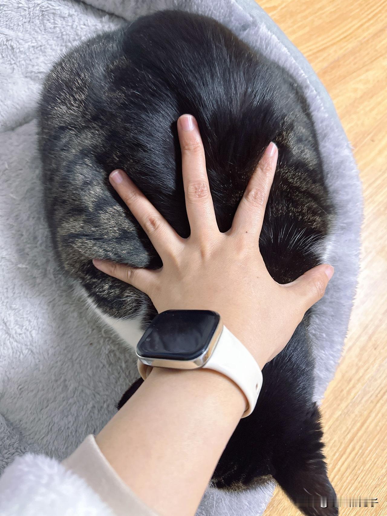 今年最舍不得删的照片