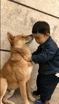 #用一句诗总结你的一年，你会用哪句#欲买桂花同载酒，终不似，少年游。
