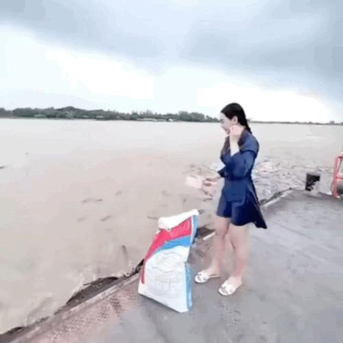 以后没野生鱼吃了黄河饲料大鲤鱼捂脸
黄河鲤鱼竟然九成是饲料养的？以后想吃口野生的