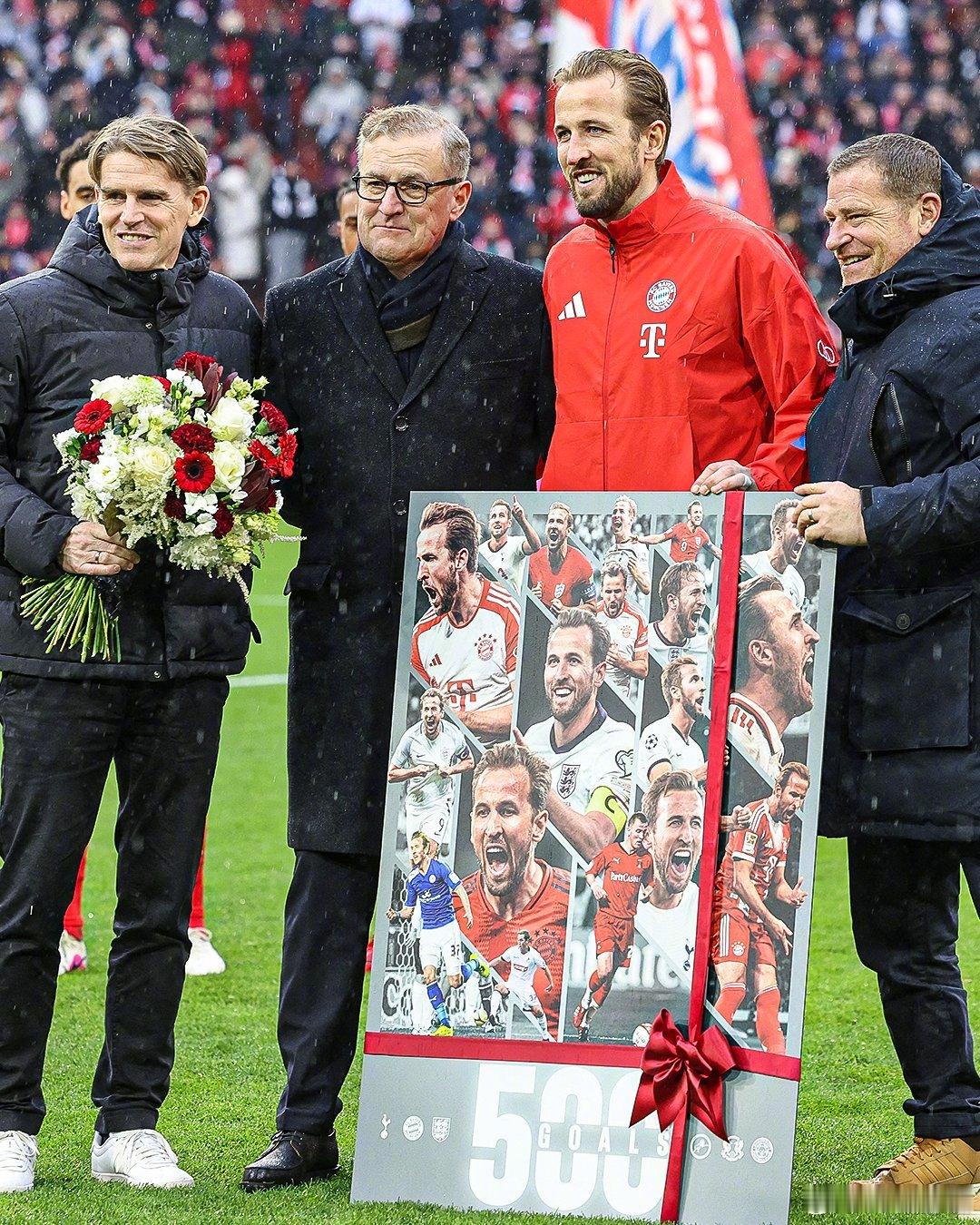 【英格兰神锋】拜仁为32岁前锋凯恩庆祝职业生涯500球里程碑，他在对法兰克福的比