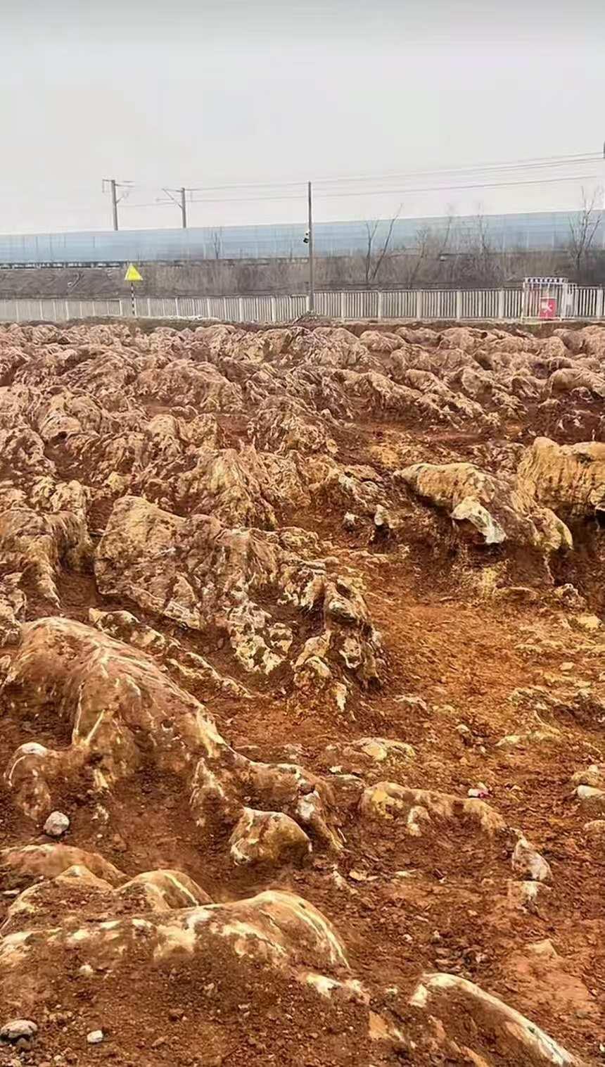 3月1日，山东用户发视频，称泰安市一地发现石林奇观，视频发布后引发网友讨论。对此