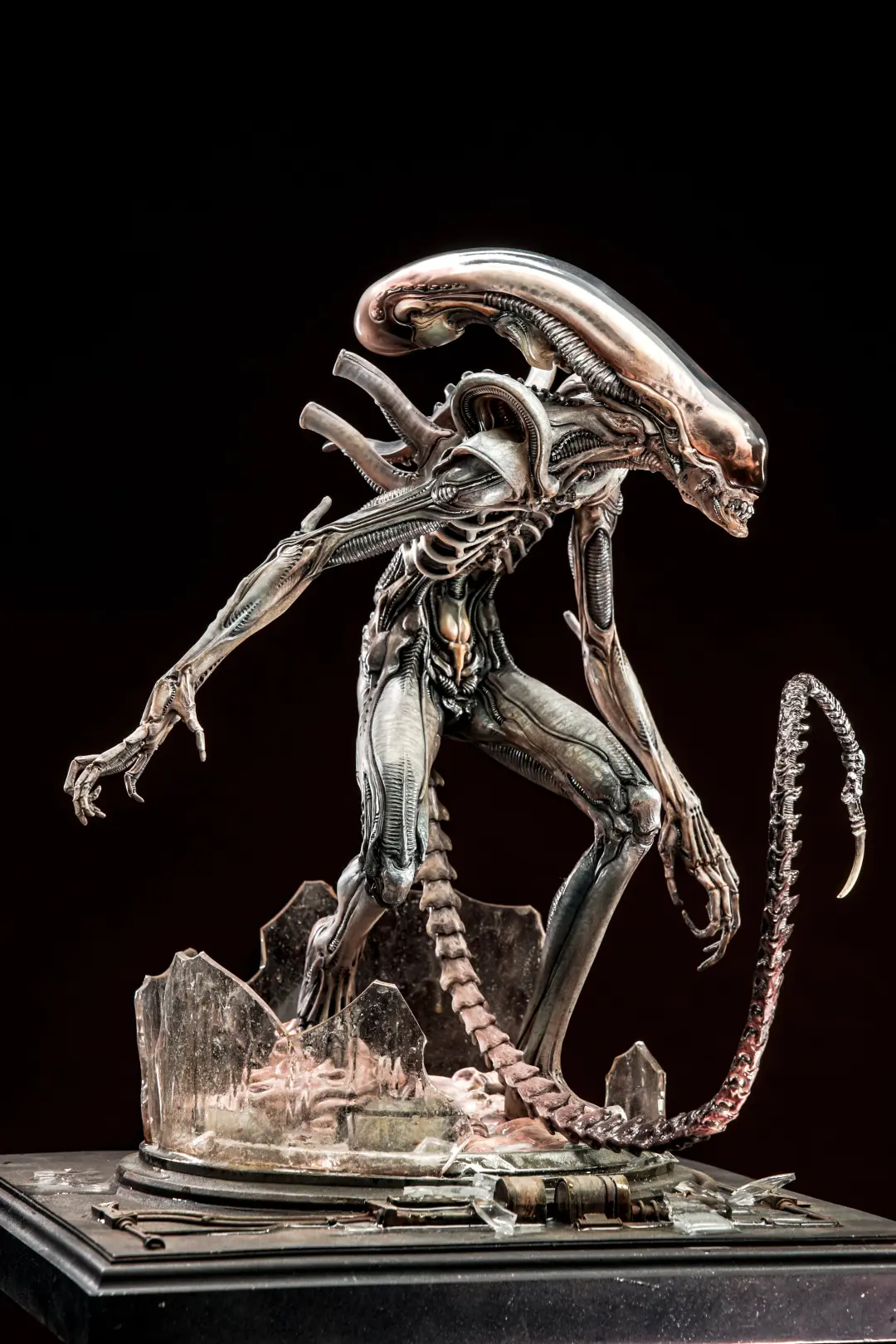 冰山原型异形黑金版