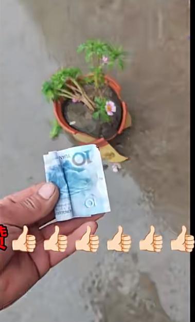 河南安阳一男孩骑车不小心撞碎花盆，留下 10 块钱做赔偿，真的太让人暖心了。
他