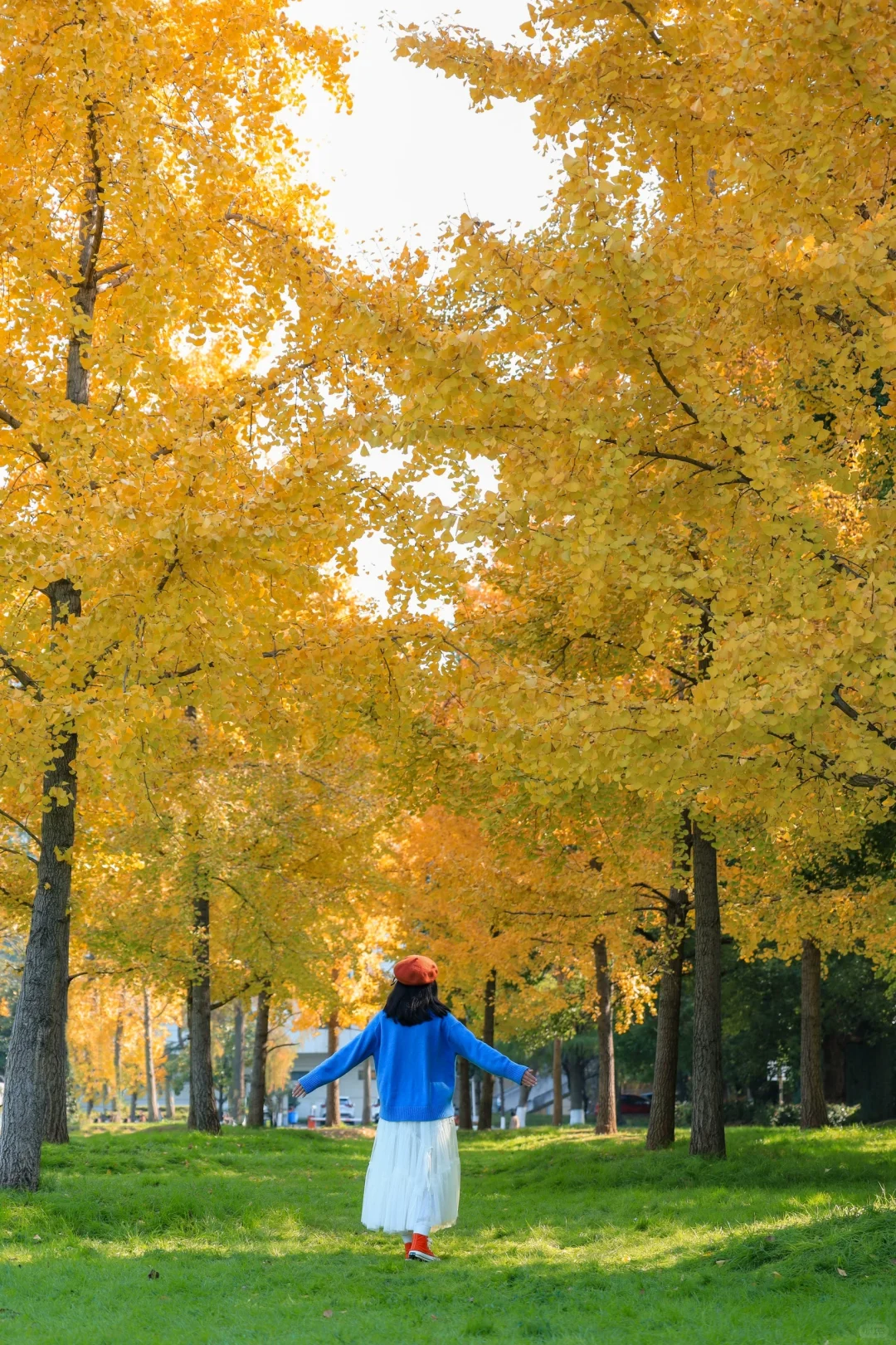 武大的秋天真的是人间理想❗️呆一天美哭我