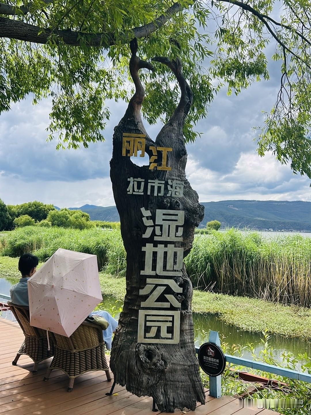 丽江拉市海湿地公园，非常漂亮。