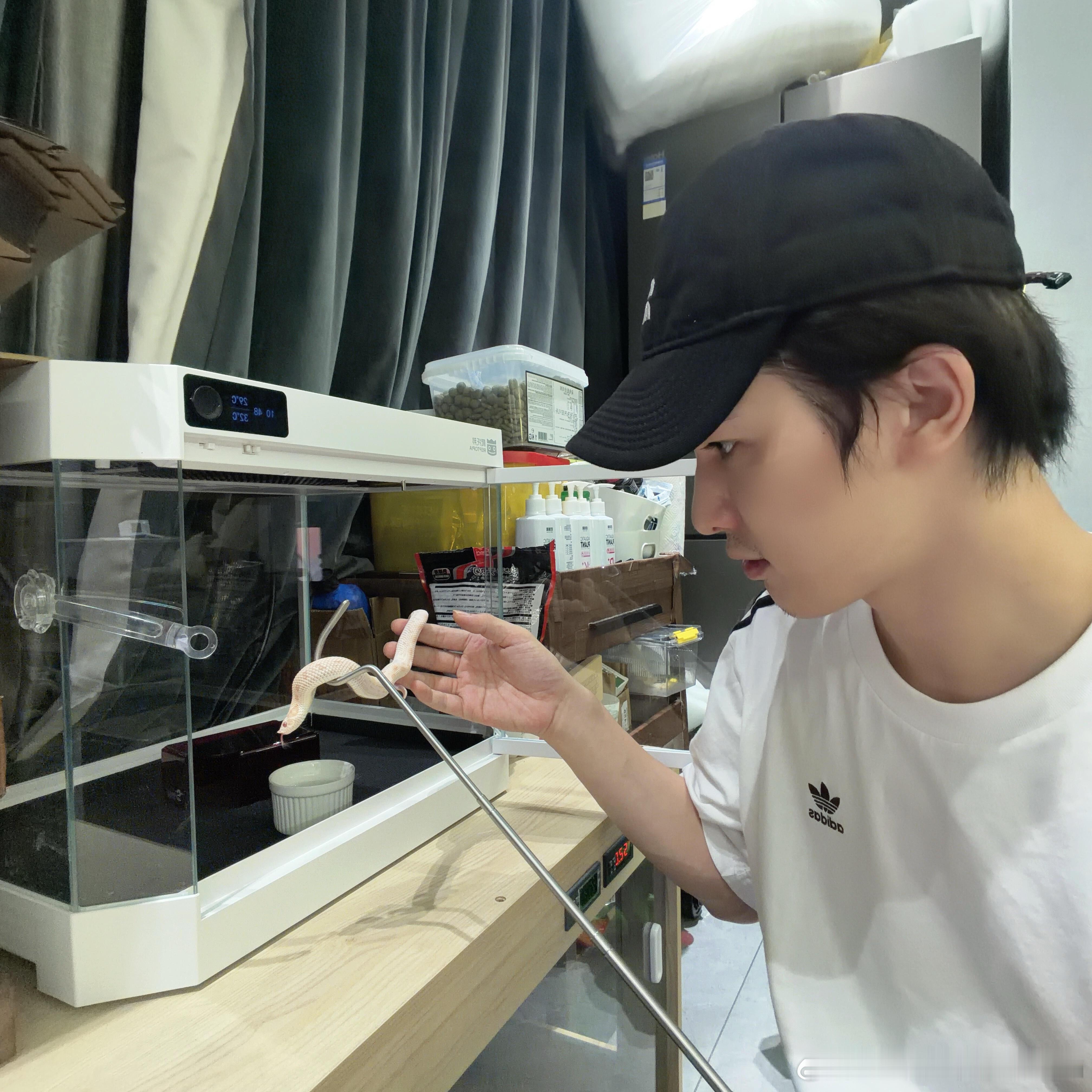 这个朱正廷不会是上周看到珍珠糖发的小白蛇 然后要展示一下自己的小白蛇吧！！！！ 