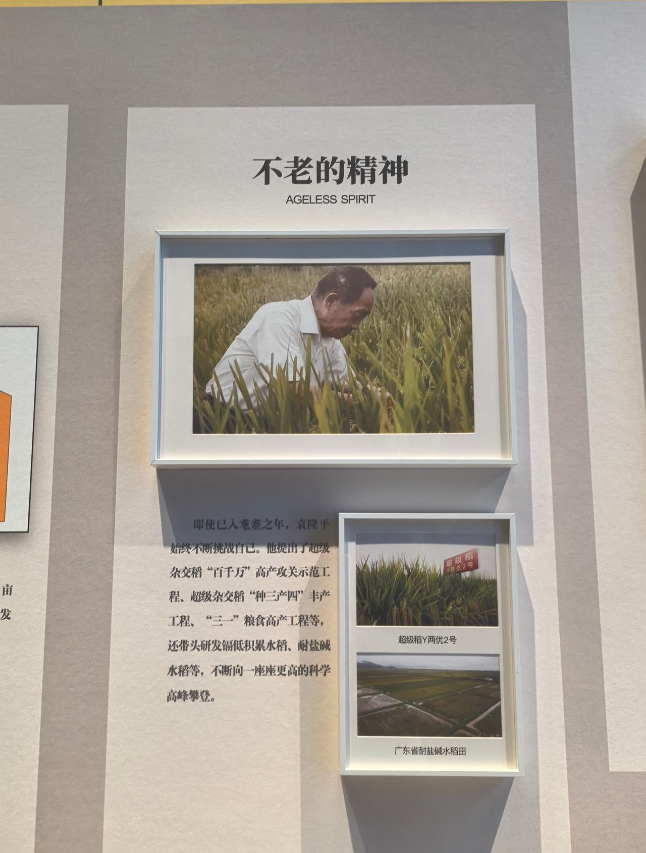 向袁老学习！
“心态要好，要乐观一点，要开朗一点这是很重要的，……”