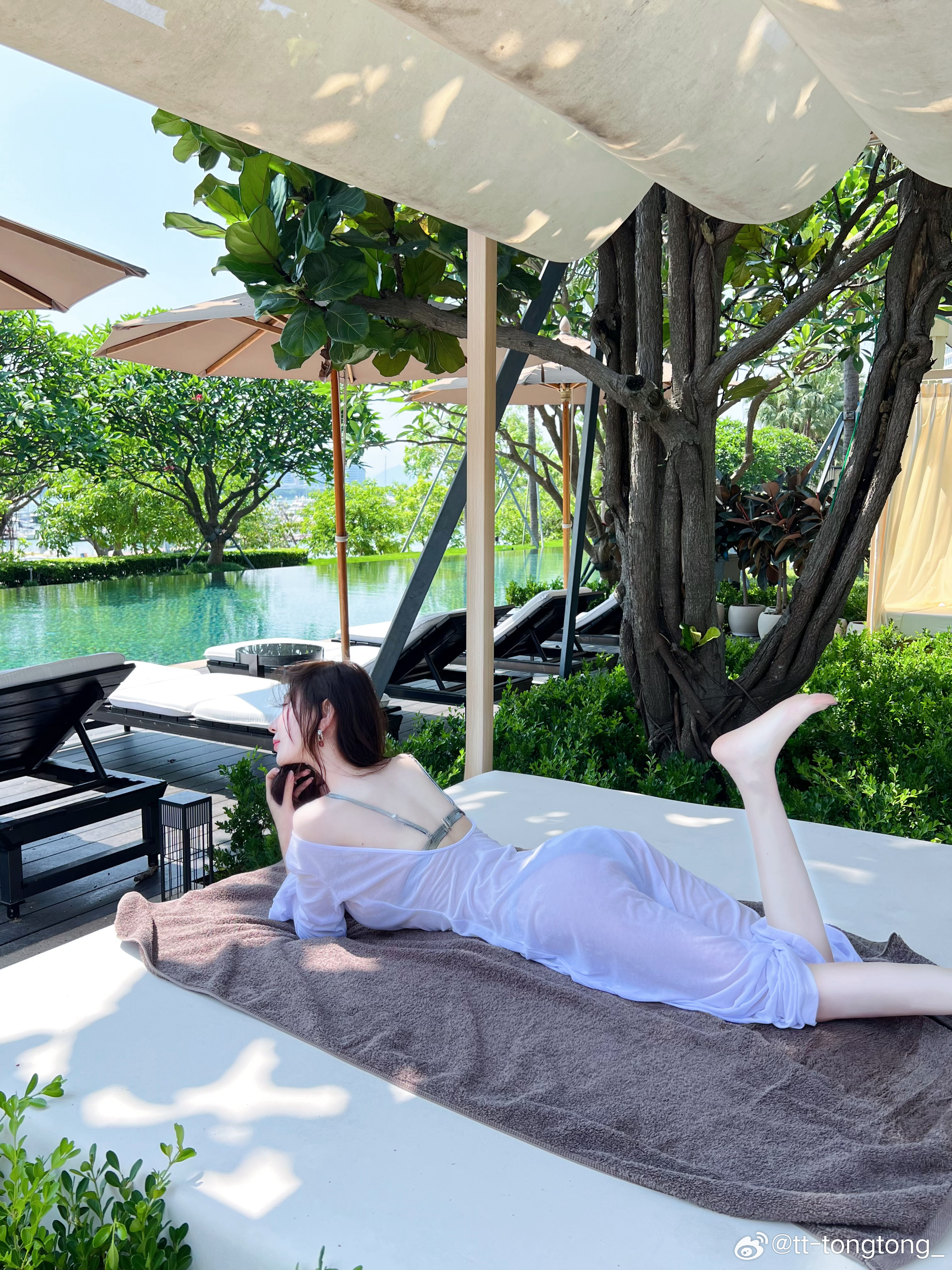 发呆🐬 ​​​