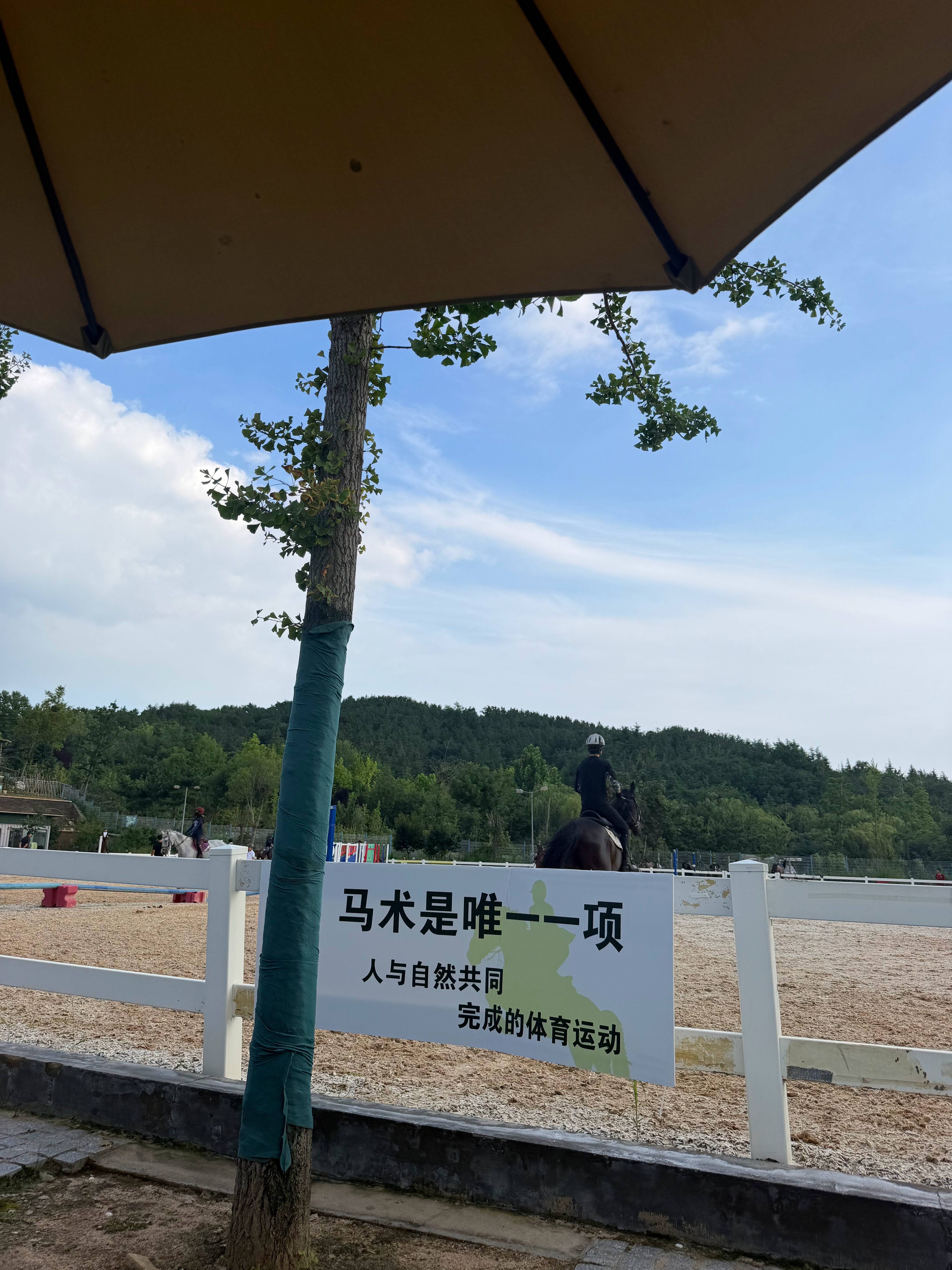 皮卡丘，我们走～ 