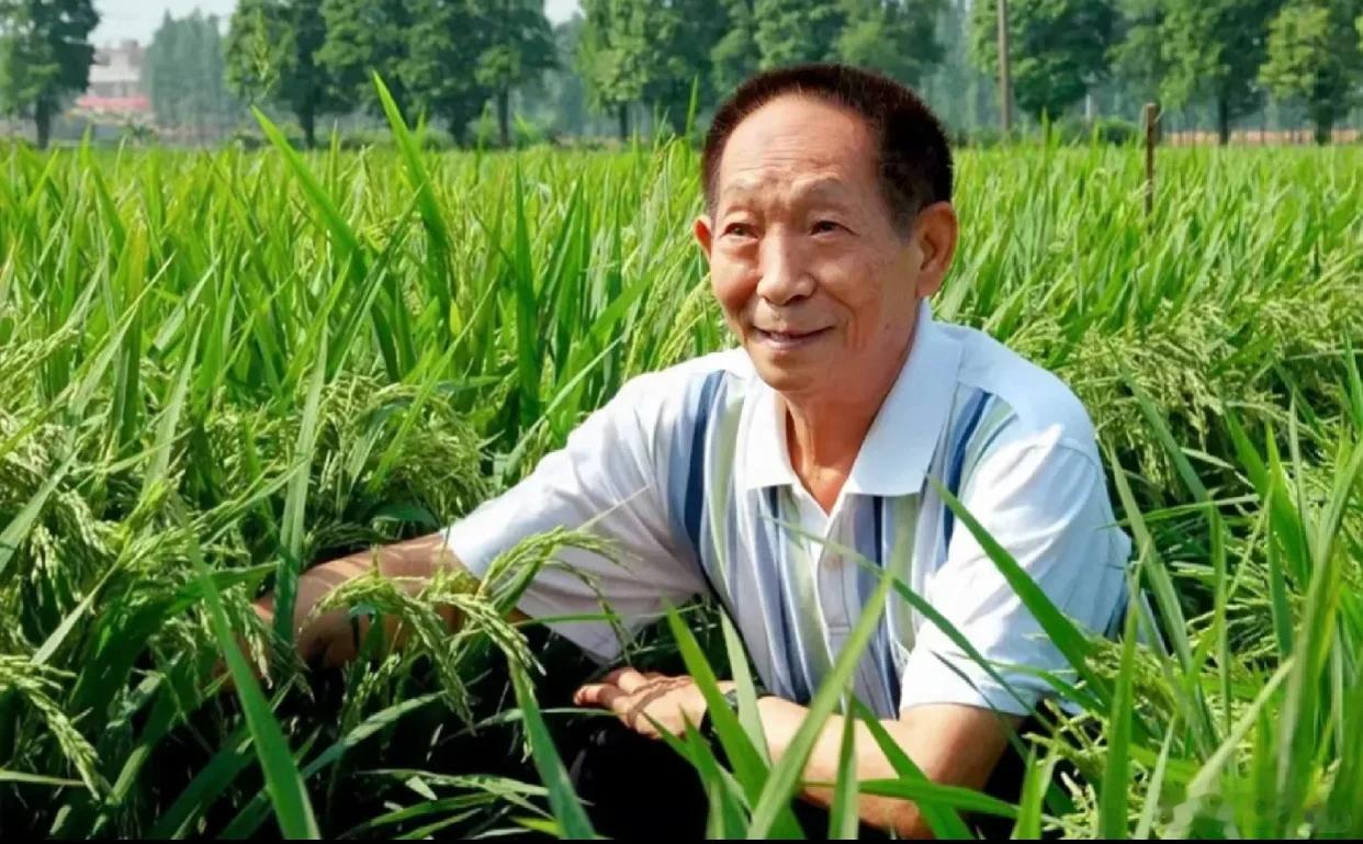 湖南农大博士追随袁隆平做新农人 博士们选择回归田园，心中满是理想与责任。他们将用