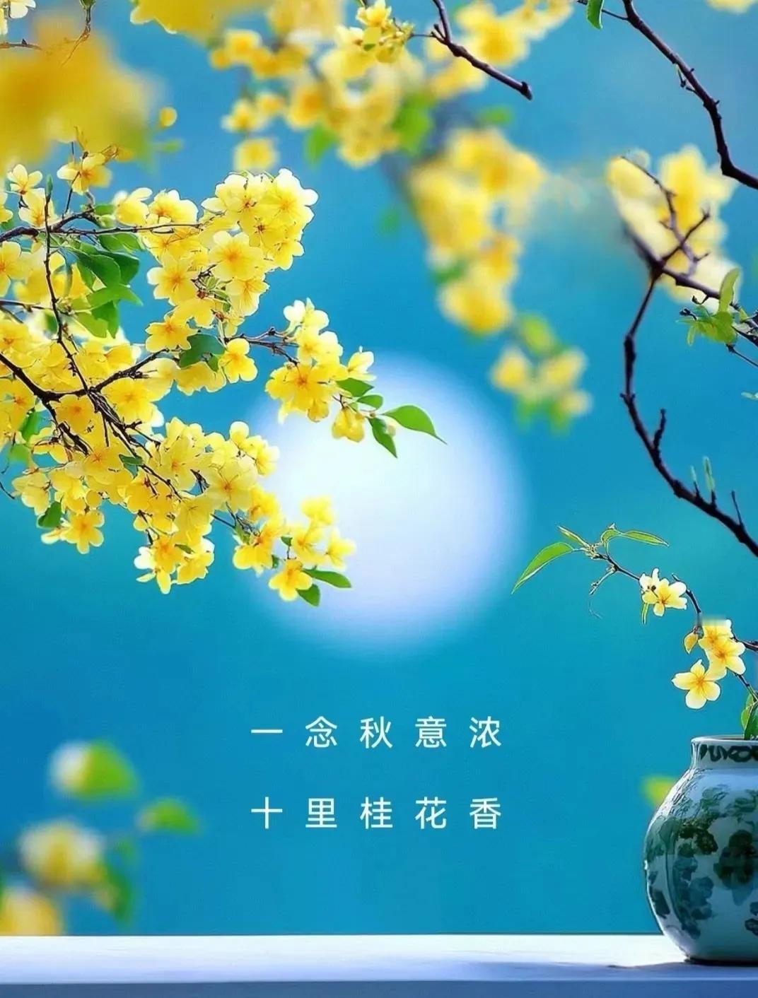 又到一年桂花香
空气中飘来淡淡的桂花香
香香的甜甜的
似乎一夜之间
道路两旁的桂