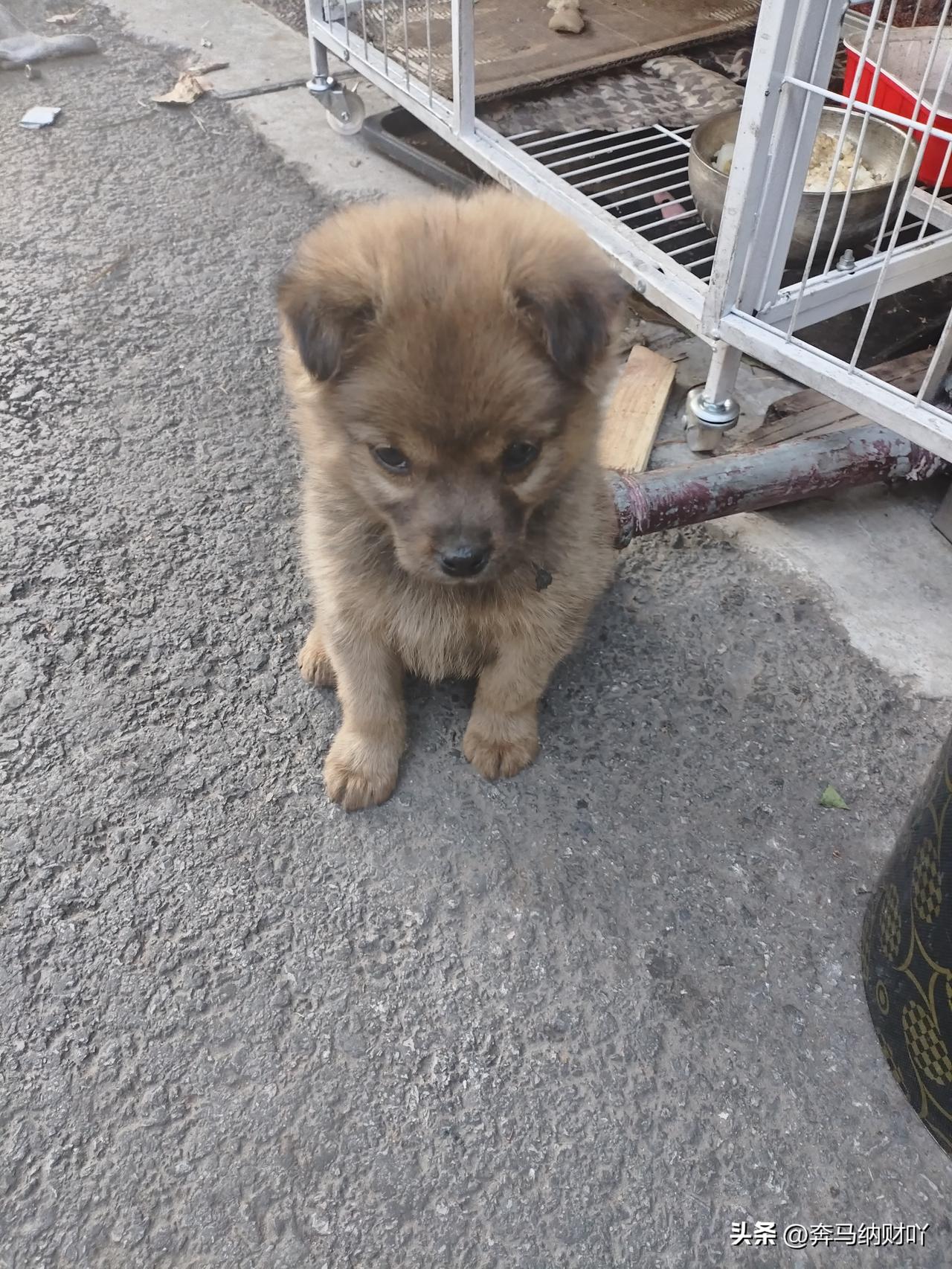 今天是3月14号，突然发现今天是我老爸离开整整一个月了。

老爸在的时候，我们的