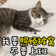 已经到「觉得小孩太吵 但听DJ刚好」的年纪了。。。 ​​​