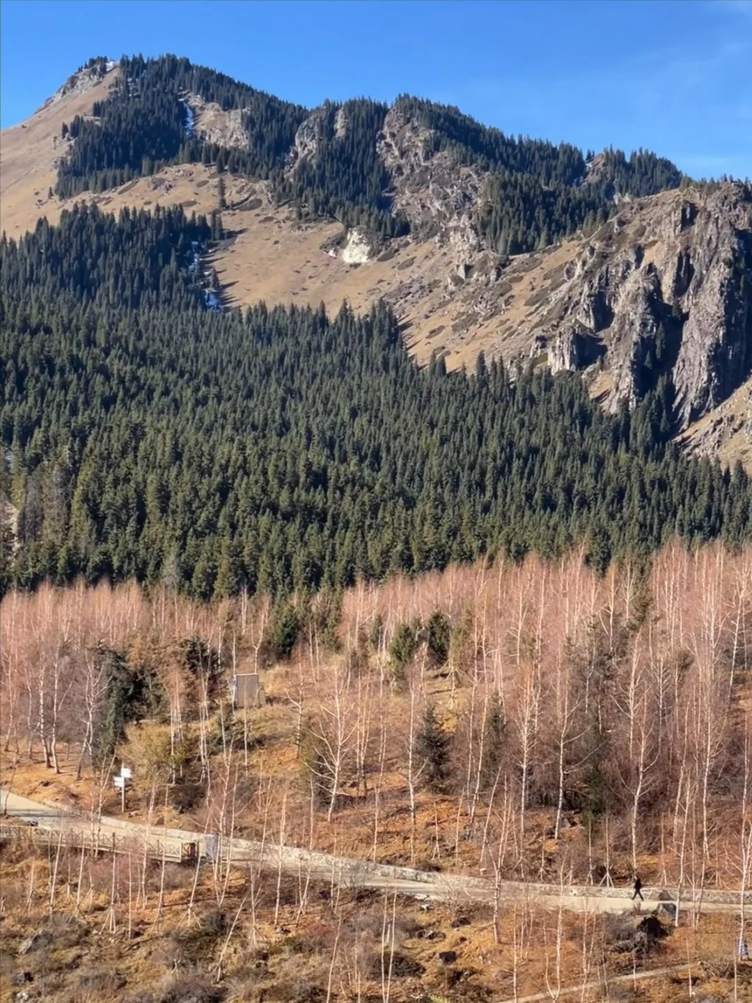 自从每天五点半起床冥想 我的生活彻底改变