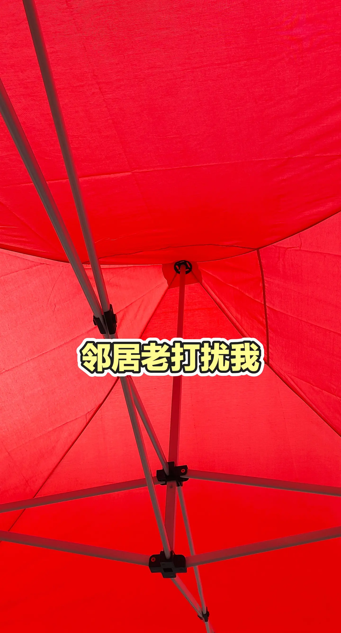 日更