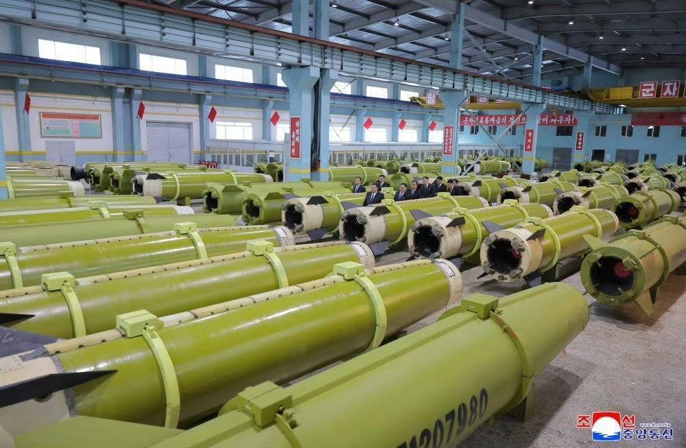 将军家的大青瓜与小黄瓜，遍地都是！这个大棚种植基地的产量真不赖！估计能把大鹅喂得