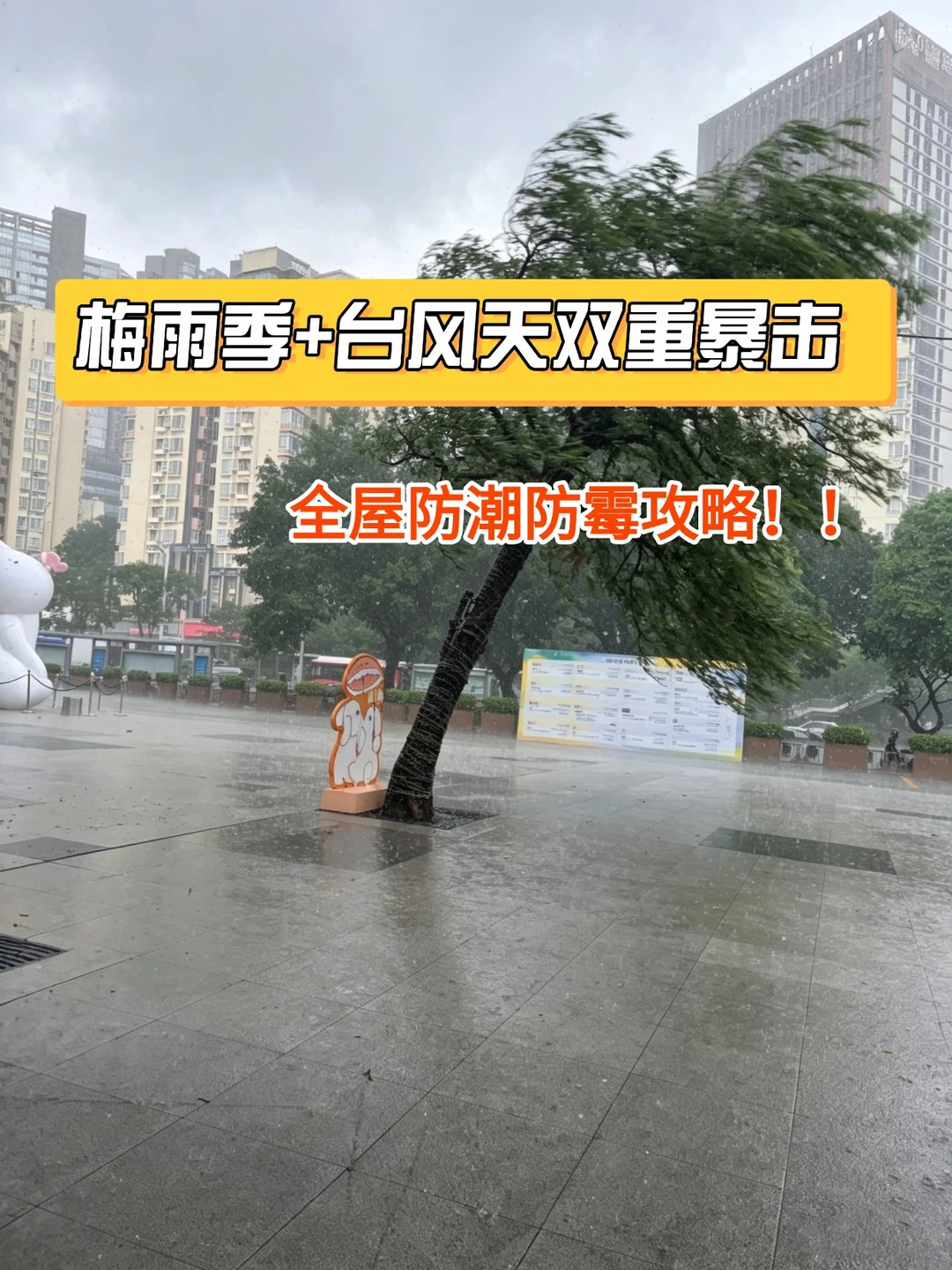 梅雨季+台风双重暴击‼️全屋防潮防霉攻略