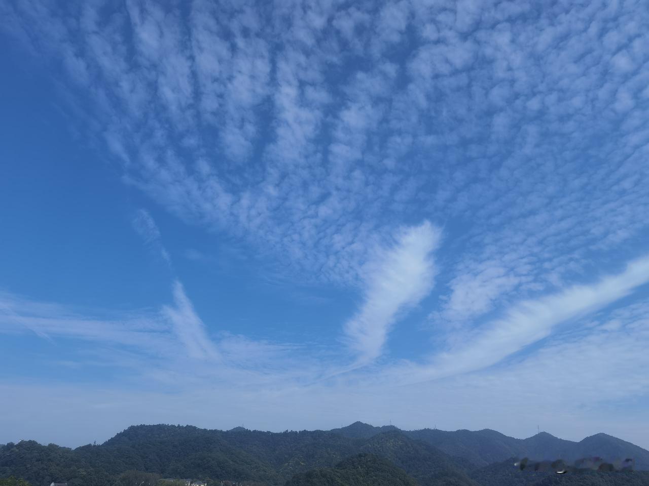 中秋节的清晨