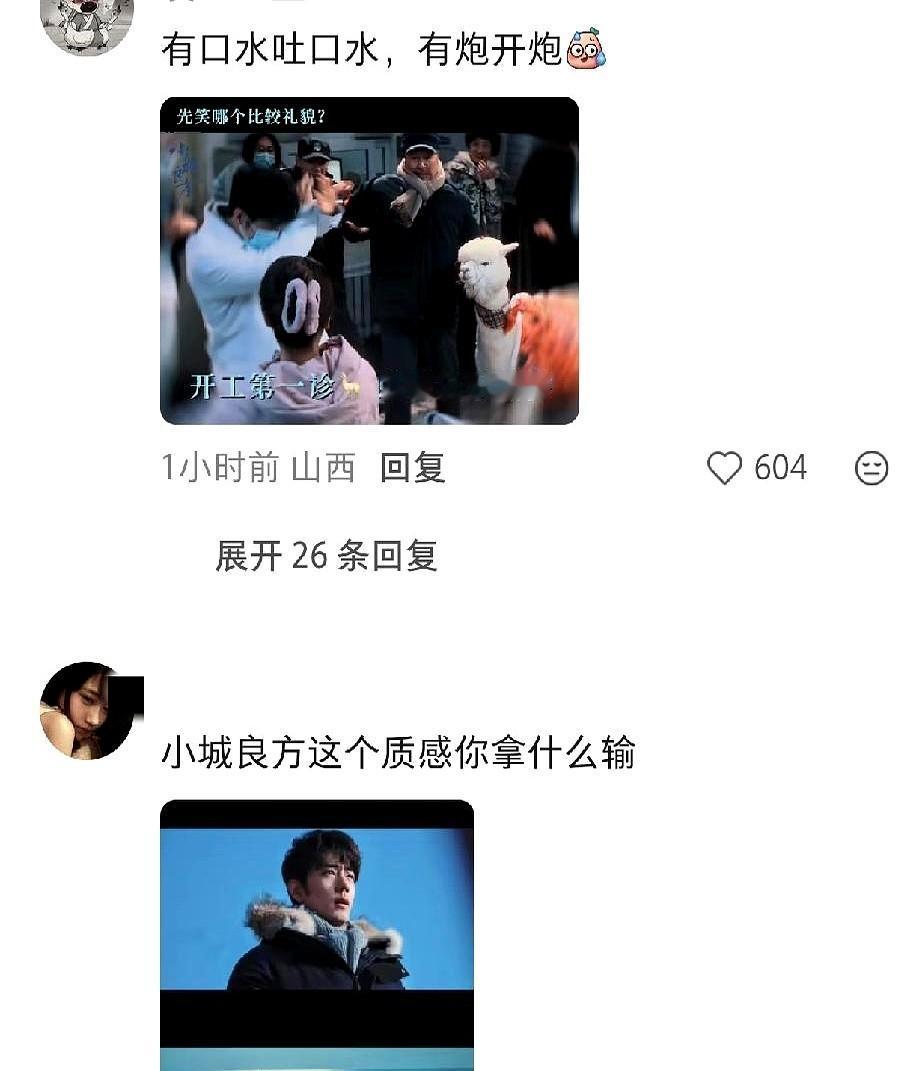 谁能想到，顶流男星的新剧人设，竟然是被羊驼吐口水、被医闹怼脸。

肖战新剧《小城