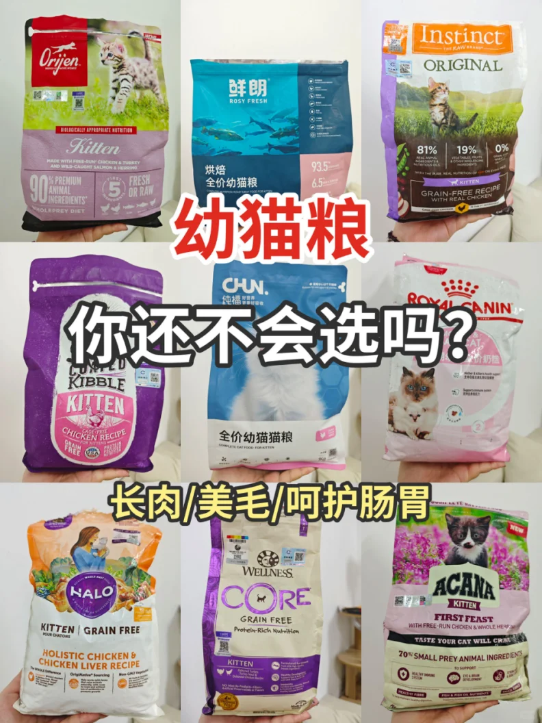 幼猫粮怎么选?靠谱幼猫粮推荐排行榜