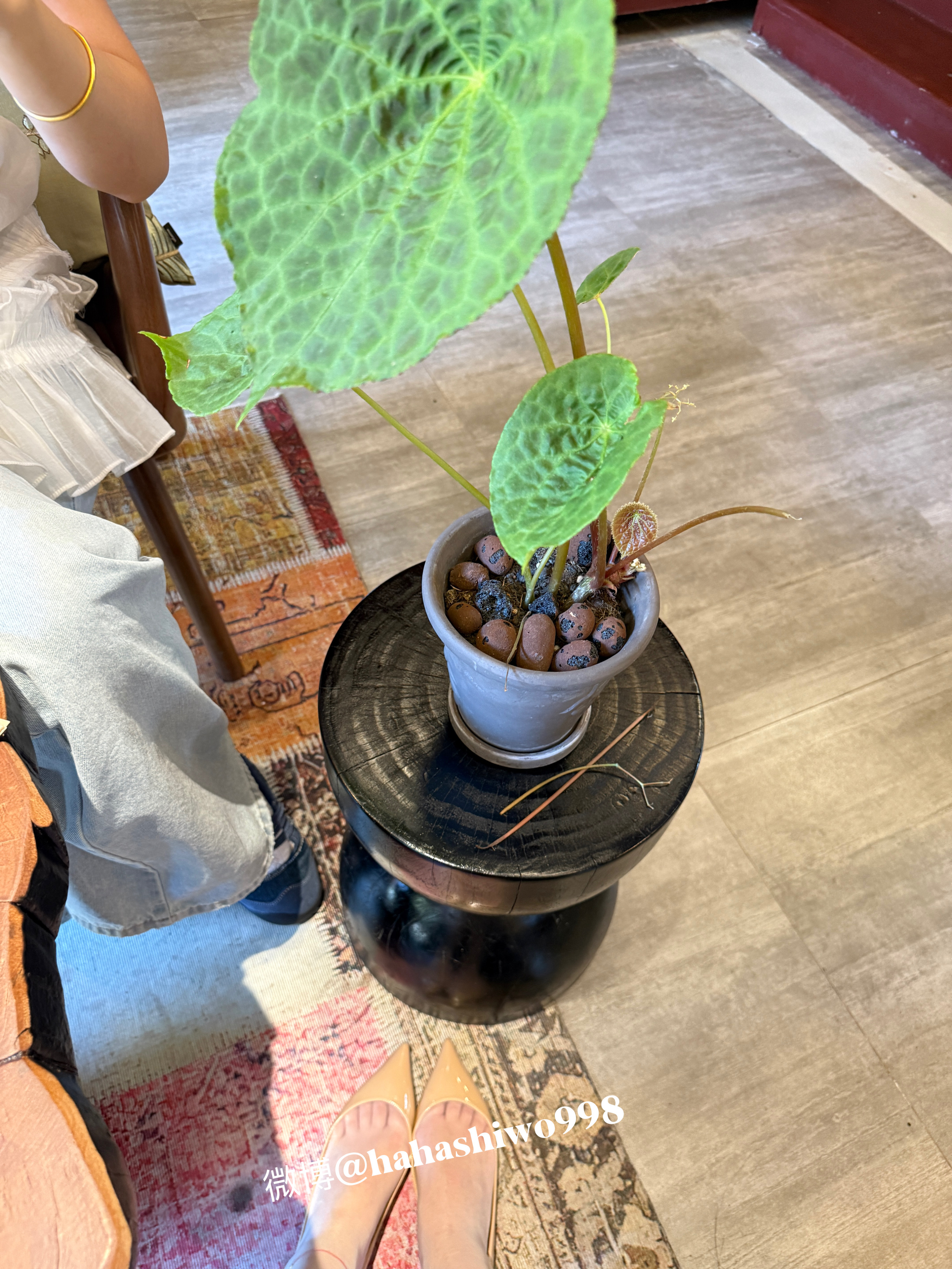 旗袍和茶室更搭🍵 ​​​
