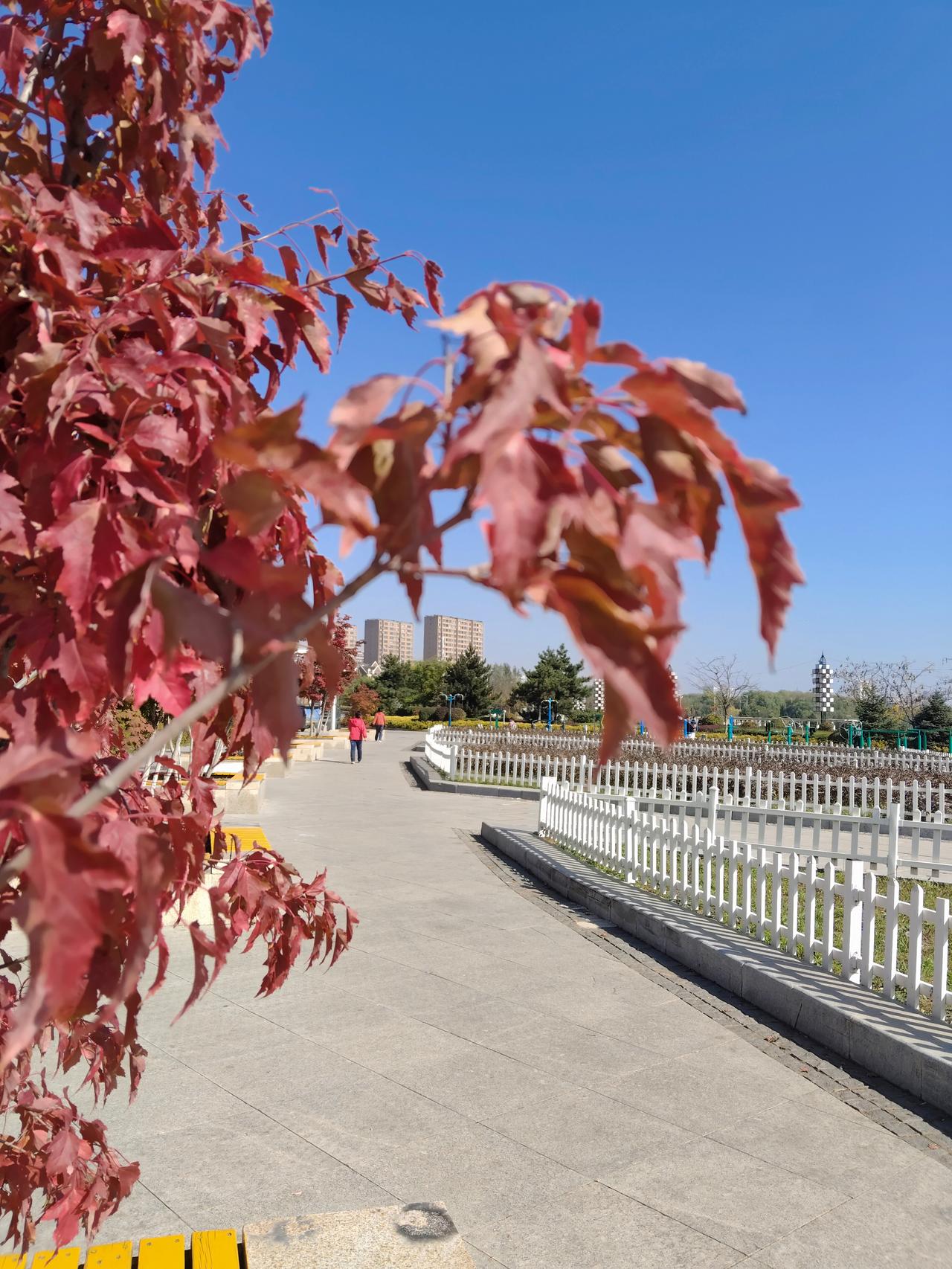 老师教案到底要不要求完全手写引起教师们的广泛议论， 地区不同学校不同要求也不一样