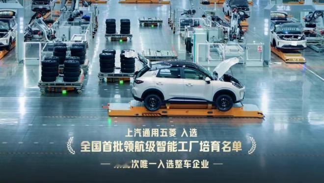 2025年新能源车销量超过100万辆，不愧是人民的五菱！

都说这两年新能源车市