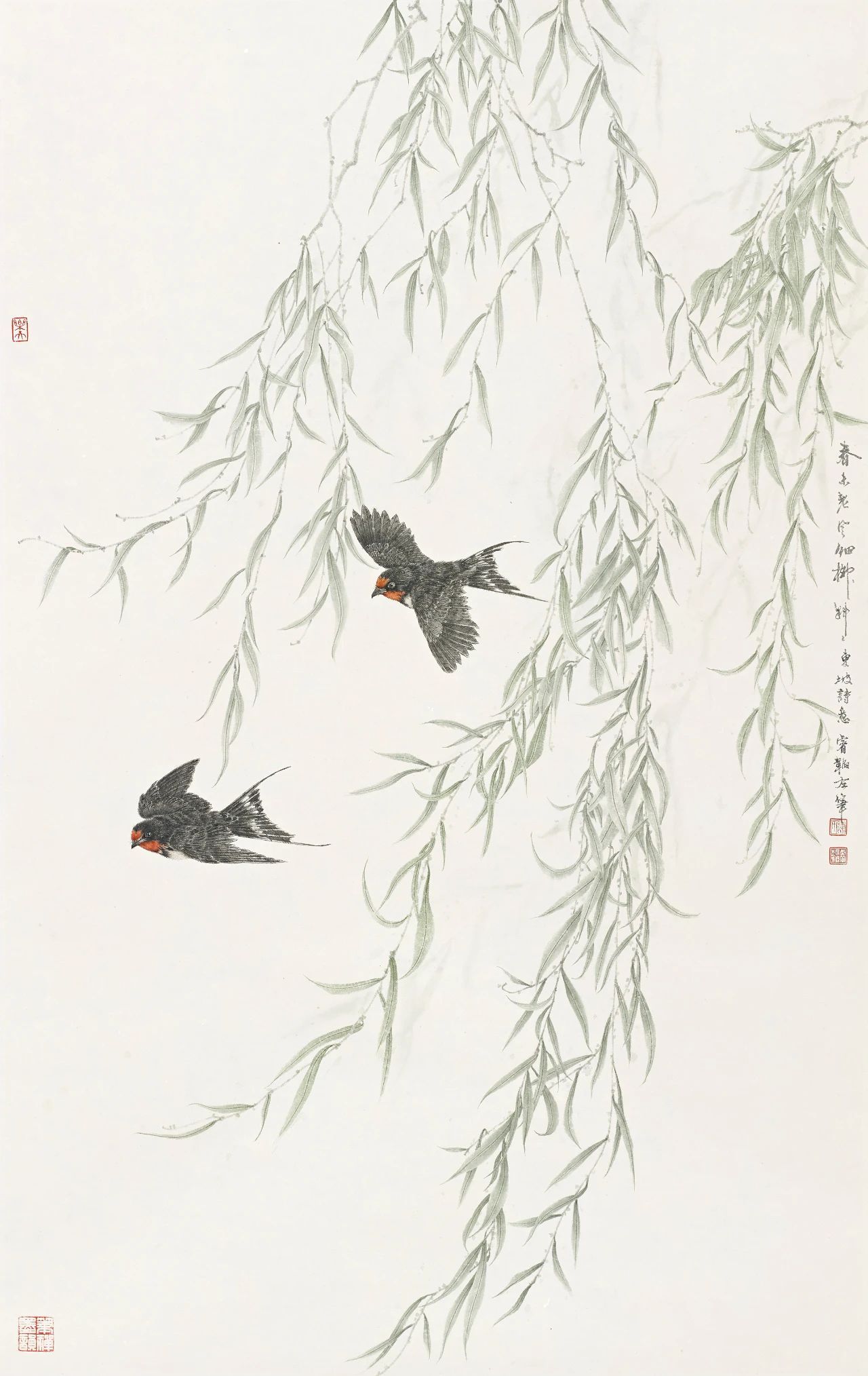【一蓑烟雨】陈睿韬 ​​​