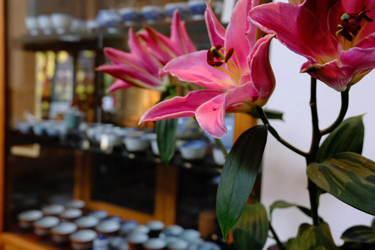 真心话茶局一室清欢，百合含香，茶香袅袅，鲜果清甜。慢下来的时光，没有喧嚣纷扰，只