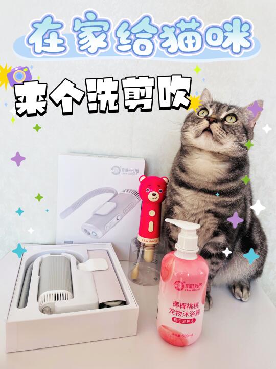 在家给猫咪来个“洗剪吹”