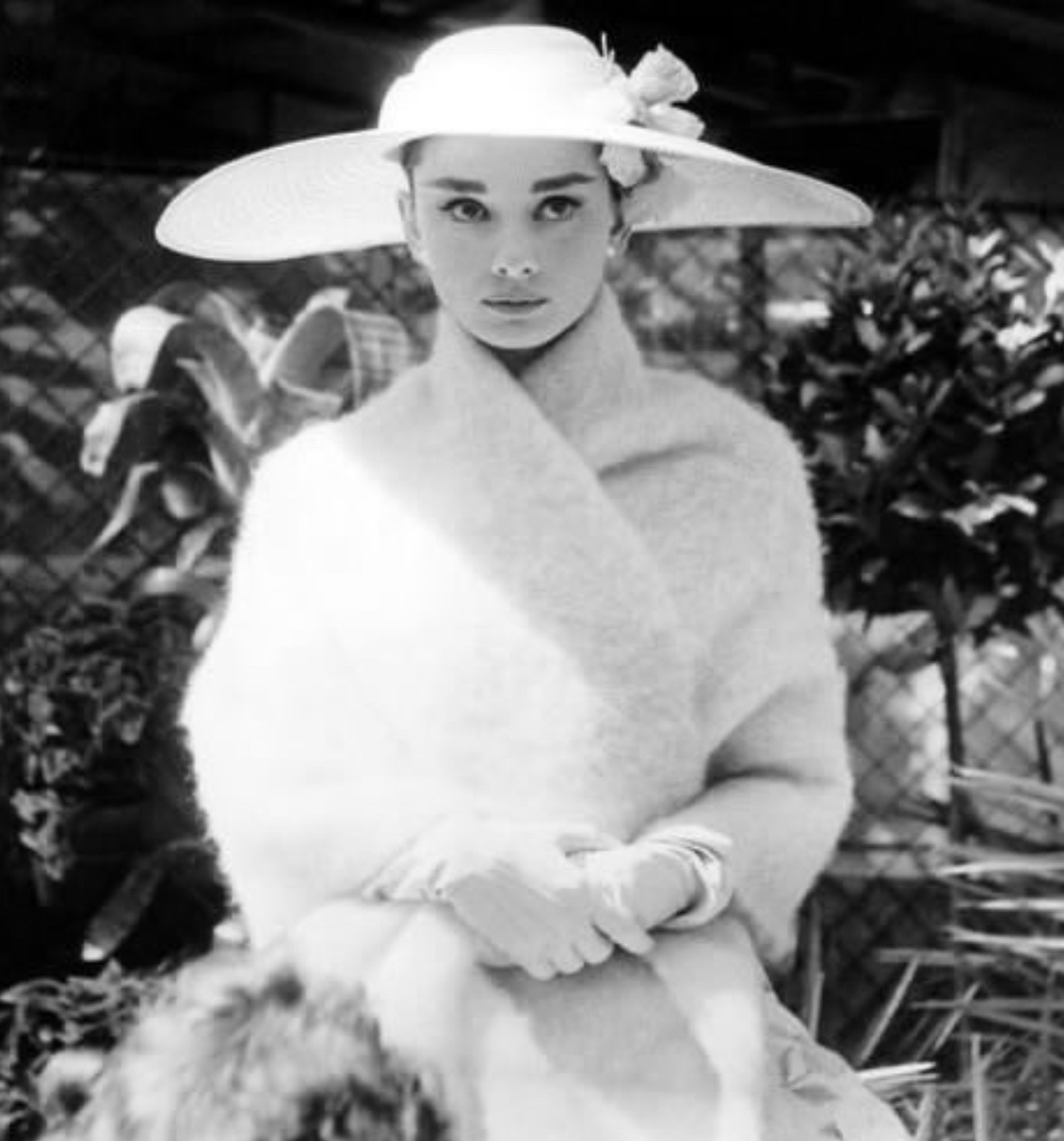 【来自投稿】1957年 28岁的奥黛丽·赫本在拍摄电影《funny face》中