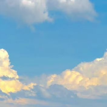 每日一善[超话][馋嘴]每日一善 [馋嘴]阳光信用 你再优秀，也总有人对你不堪。