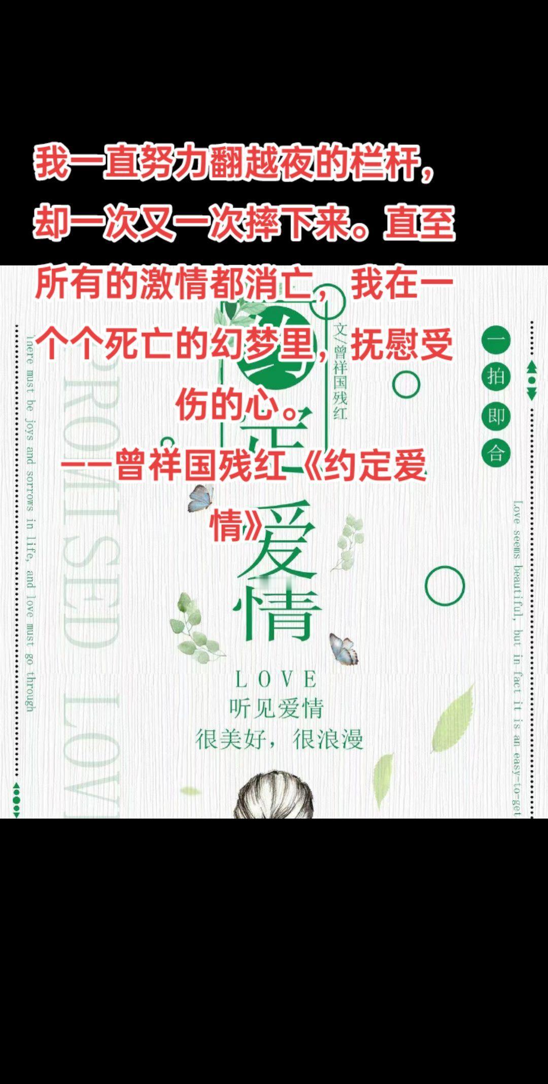 我一直努力翻越夜的栏杆，却一次又一次摔下来。直至所有的激情都消亡，我在一个个死亡
