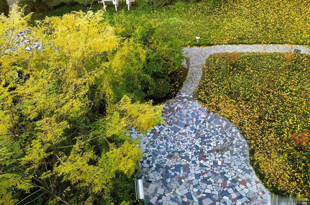 20251113 渭城：空间原色西藏民族大学