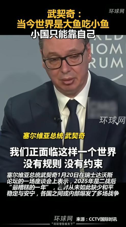 武契奇表态这世界就是弱肉强食，在瑞士达沃斯世界经济论坛现场，塞尔维亚总统的一番发