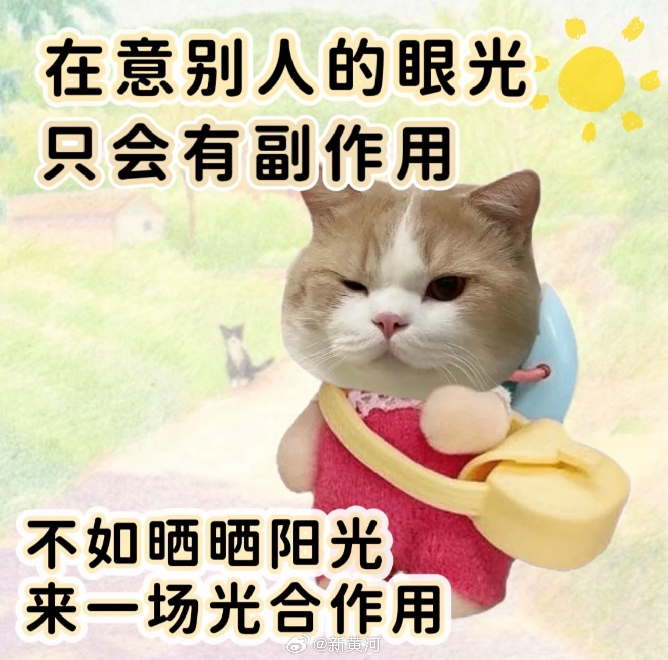 【#山东最高温直冲25℃#，体感逼近夏天……】 总体来看山东省天气晴好，对出行有