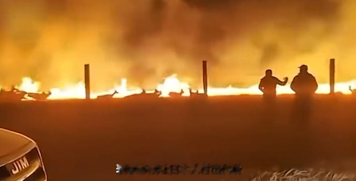 一场大火烧向中国边境，日企在中蒙边境闯下大祸，鞠躬道歉就想完事，蒙古国忍无可忍，