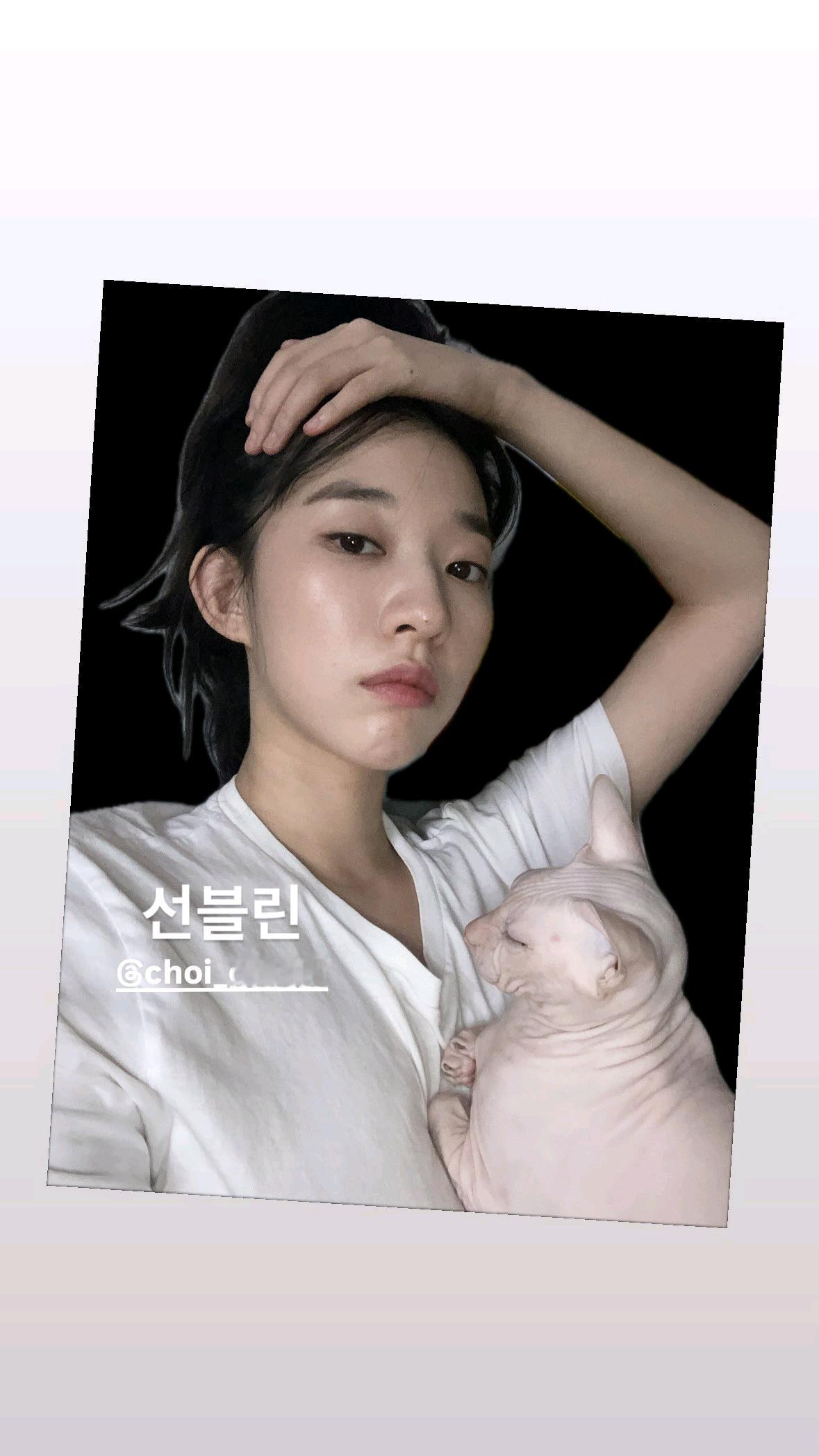 仙雅和布琳🐱 ​​​
