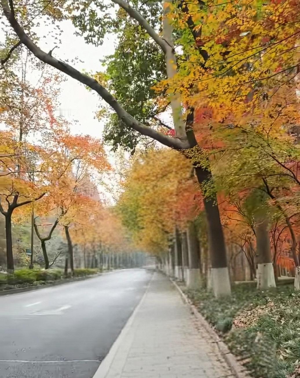 爬电杆
太阳出来爬电杆
一爬爬到头顶线
头顶线见阎王殿
阎王叫人买包烟
买了烟可