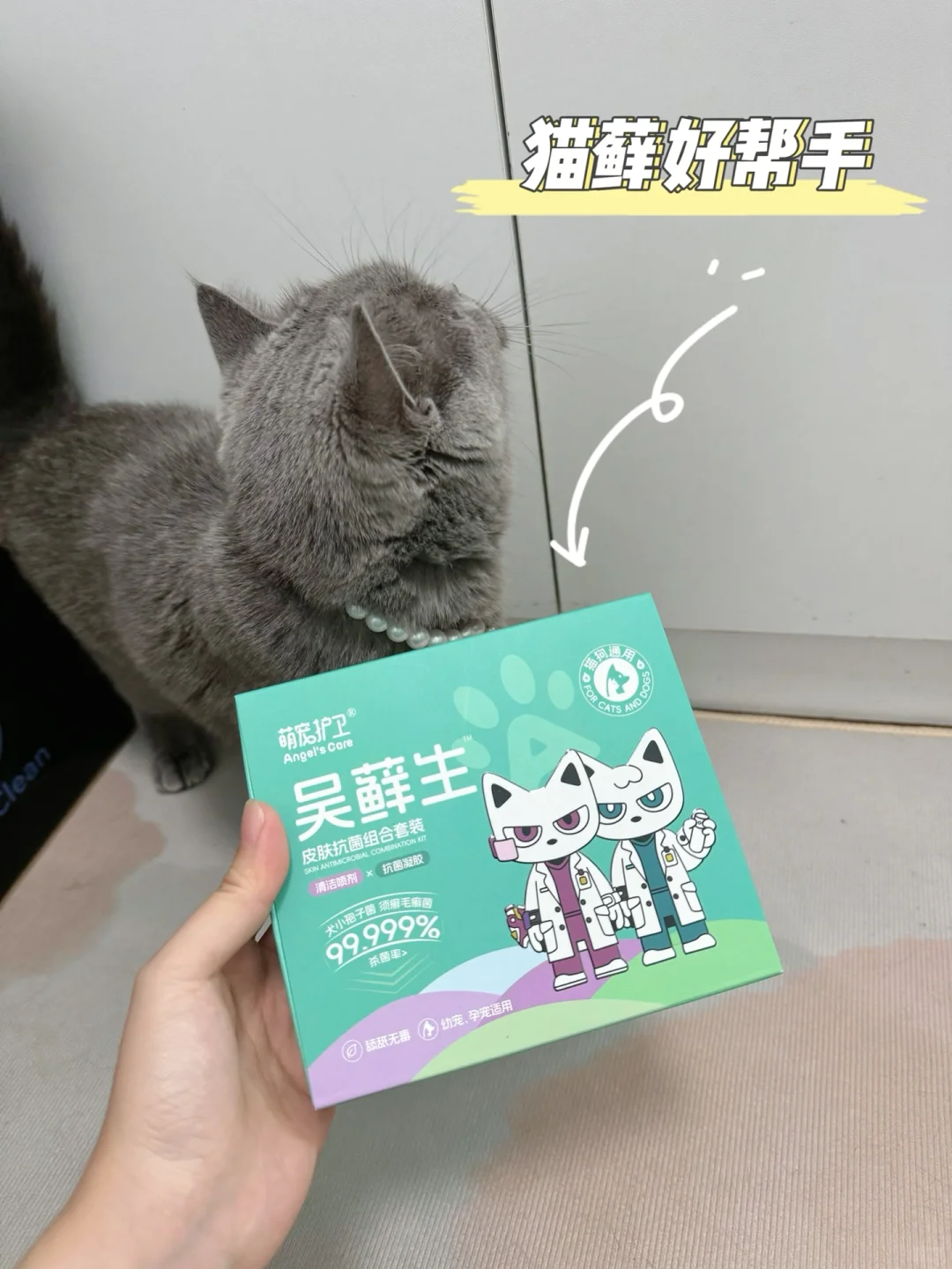 猫咪得了猫藓怎么办？