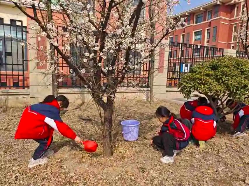 那天，我与一位教育专家交流劳动教育。如今，劳动教育愈发受到重视，但在中小学真正落