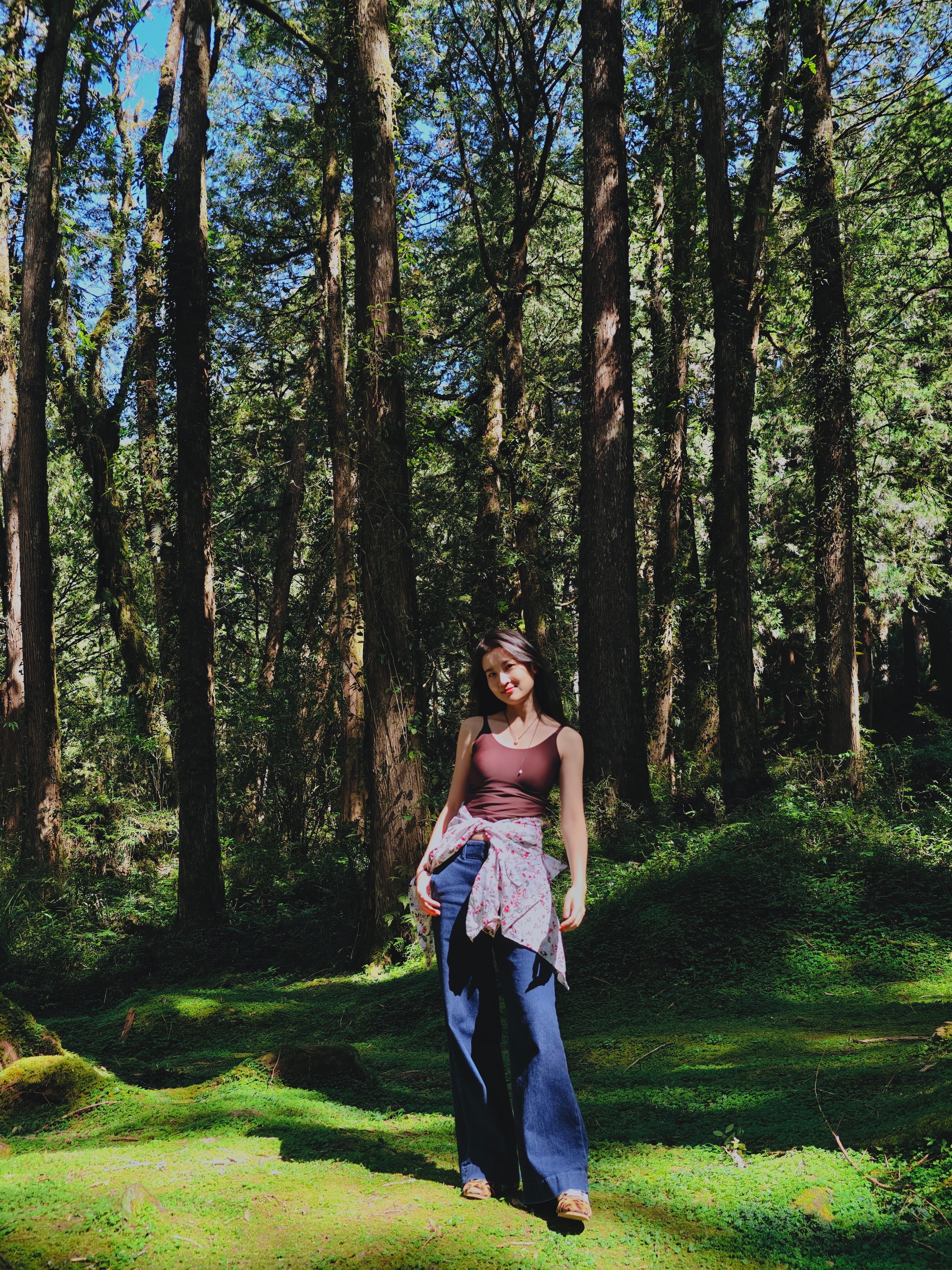 坐70多年的蒸汽火车进到阿里山，看到了2700多岁的神木。人类的悲欢于林雾中不过