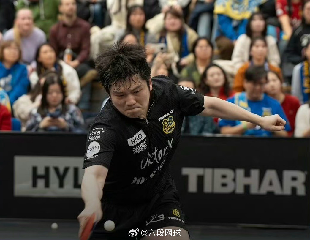 樊振东所在球队晋级季后赛 萨尔布吕肯俱乐部官微发文：我们已经成功晋级季后赛！本周