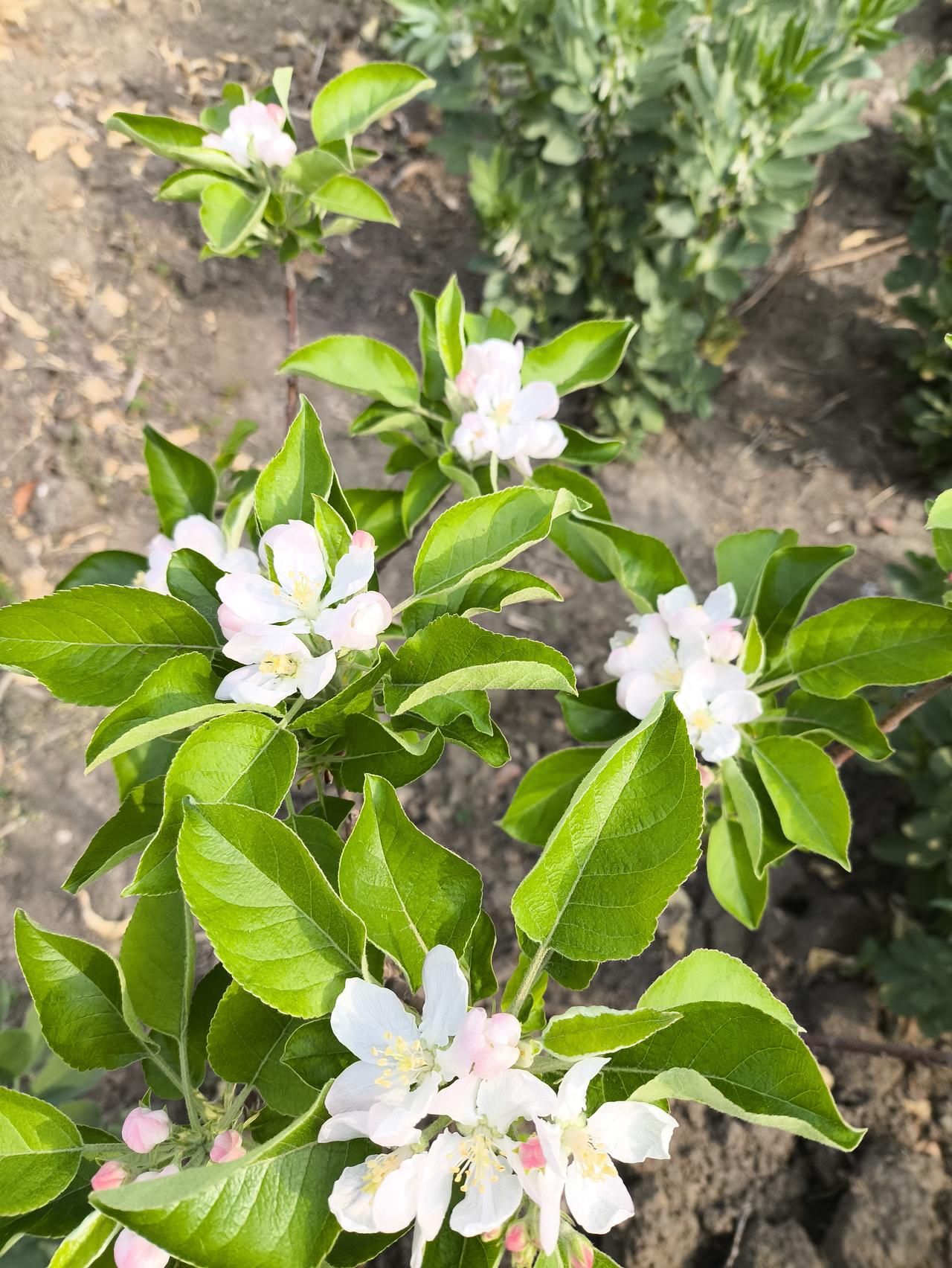 别傻了！职场“说实话”真能坑哭自己！

朋友前几天就栽了——
老总问门口泥鞋是谁