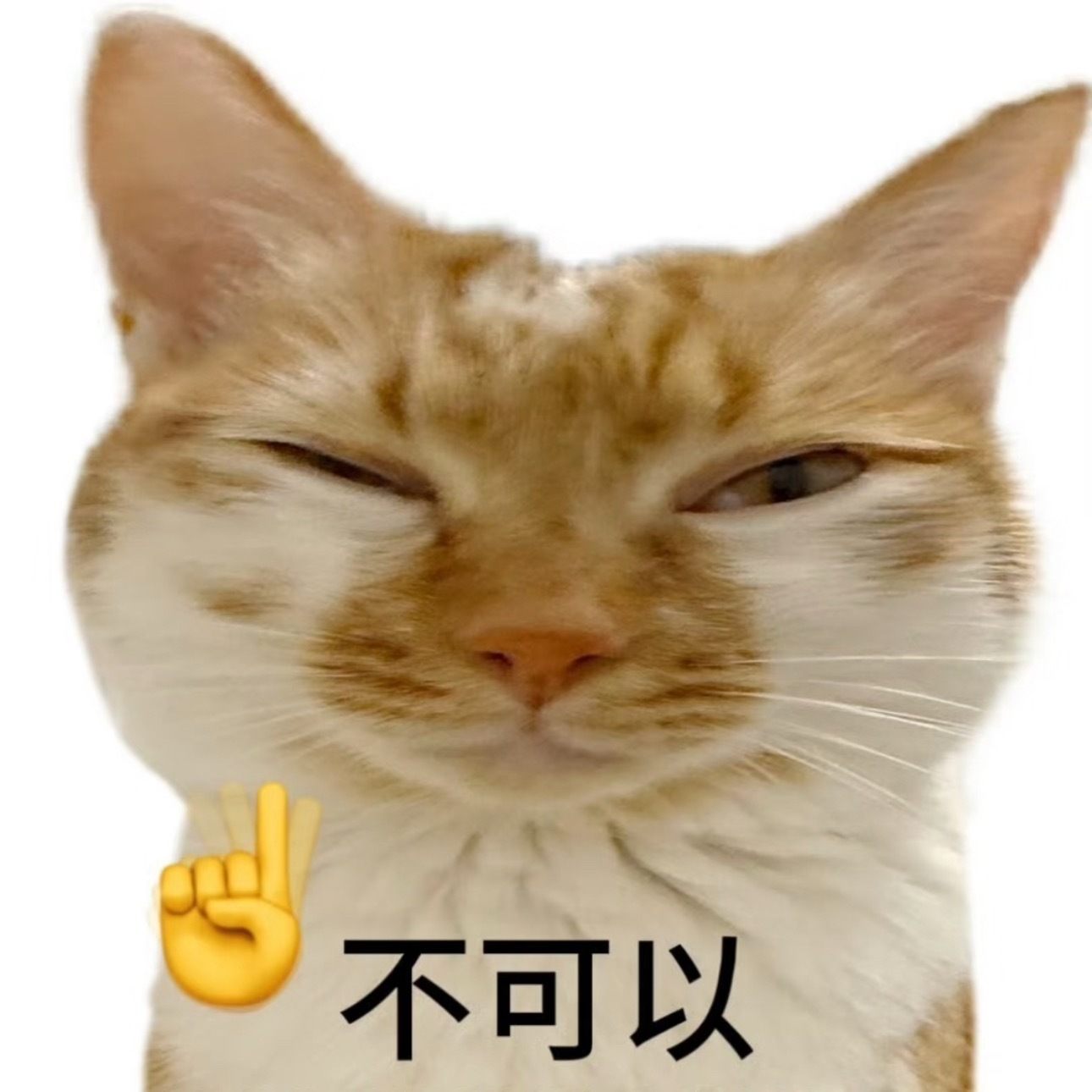 我明天能活着从互联网爬出来吗？能吗？ 