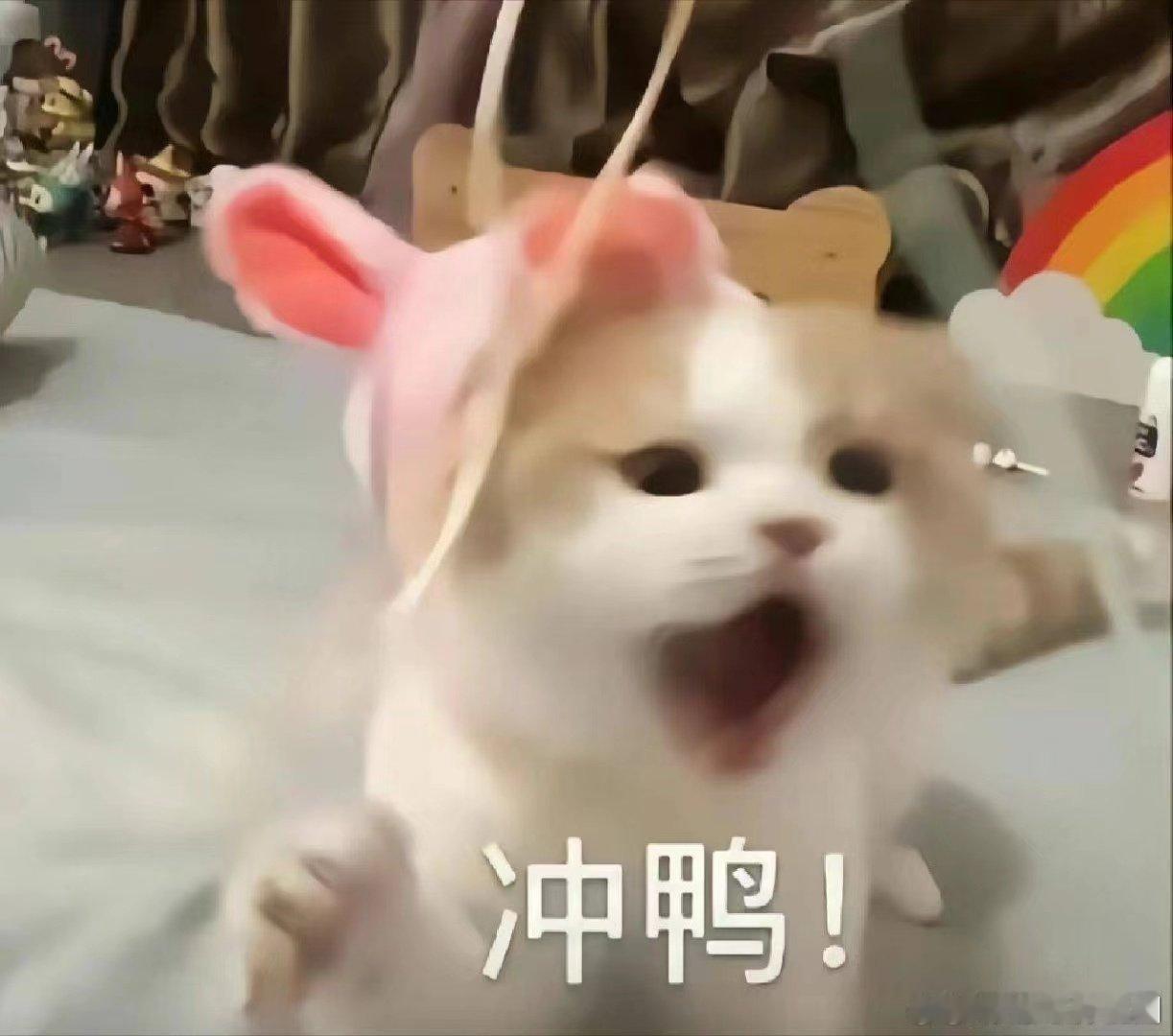 #苹果第一宝座被荣耀华为抢走了#荣耀华为的使用感真的非常的让人舒适，取得如此优秀