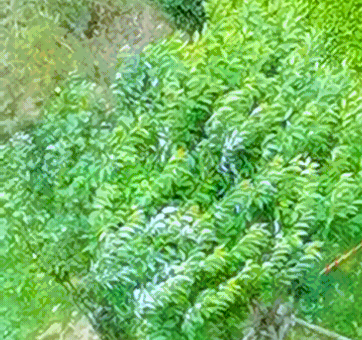 真凉快呀真凉快，
实时气温17℃，体感温度14℃，这一波青岛算是赢麻了[笑哭][